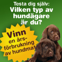 Vinn en årsförbrukning av hundmat från Pedigree