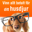 Vinn allt betalt till ditt husdjur de kommande 10 åren