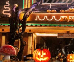 Vinn ett halvår gratis el Vinn 4 biljetter till Halloween på Liseberg